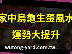 烏龜生蛋風水