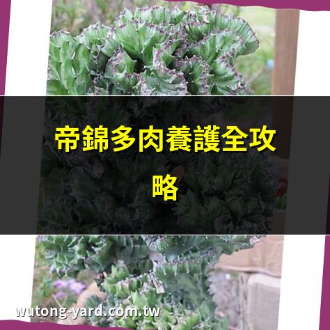 帝錦多肉