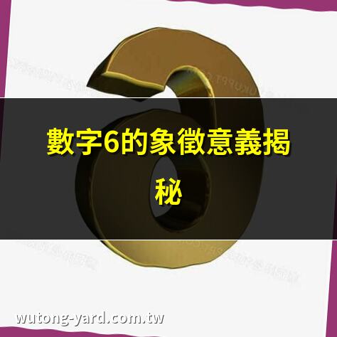 數字6代表