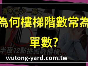 樓梯階數奇數