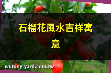 石榴花风水