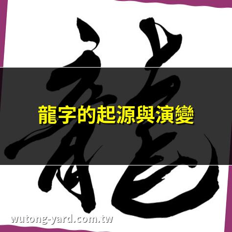 龍 字
